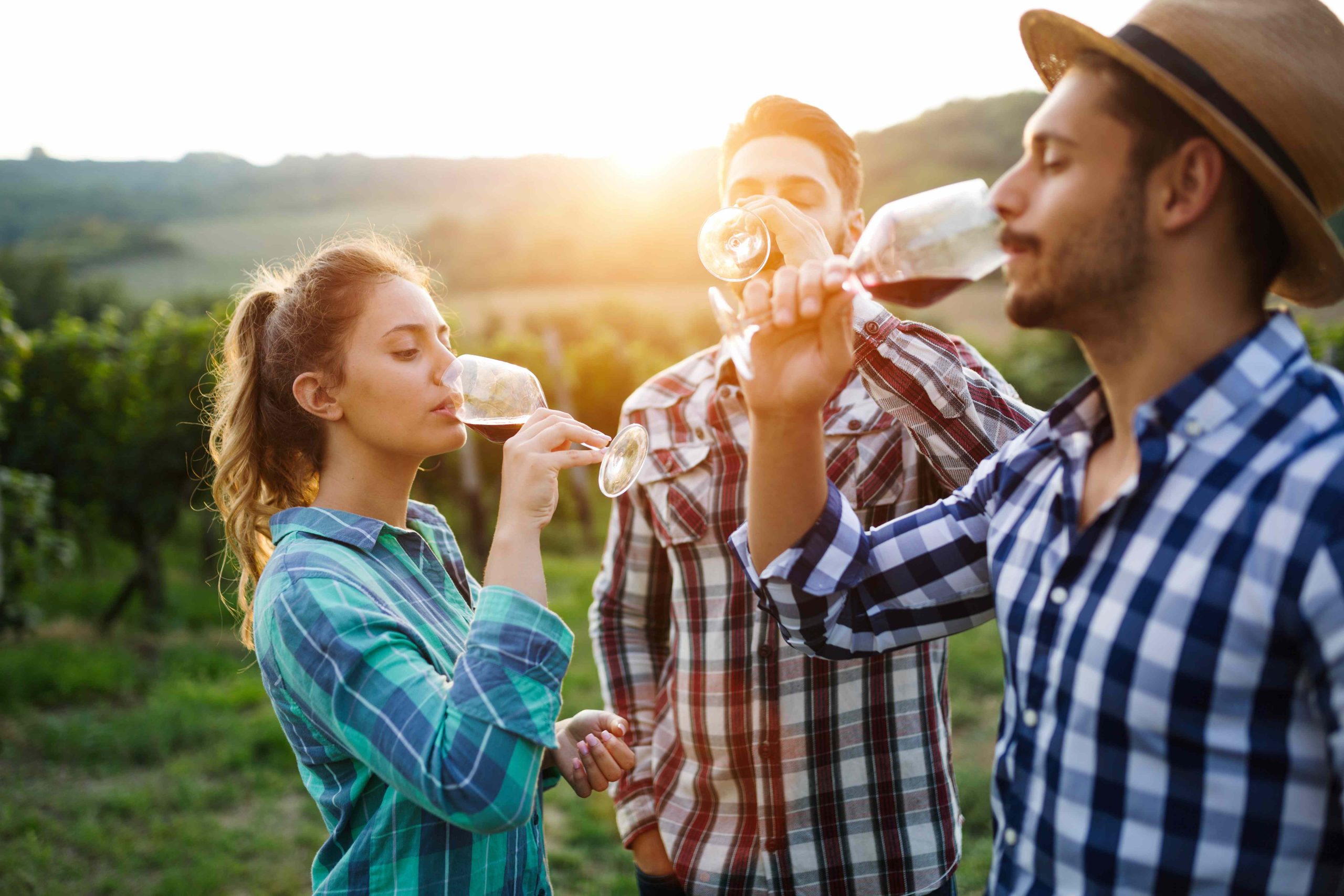 Wine Tasting 3