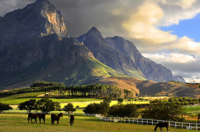 franschhoek-wine-tram-and-town-exploration-day-tour-in-cape-town-592599
